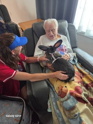 Senior veteran patient resting in a recliner gently petting a therapy rabbit with the help of a volunteer